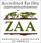 szoo-accredited-zaa
